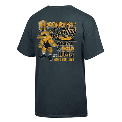 Iowa Comfort Wash Railroad Tee