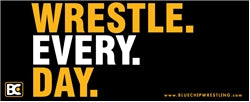 Wrestle Every Day Bumper Sticker